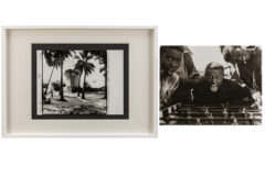 Lot 433