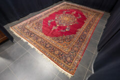 Lot 582