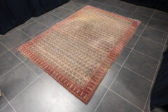 Lot 755