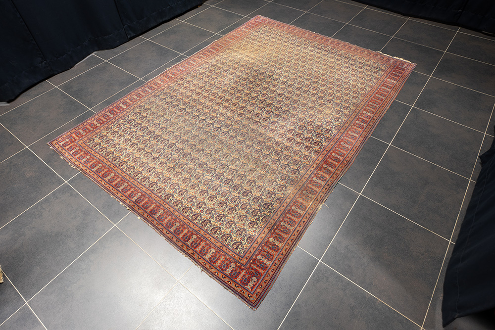 Lot 755