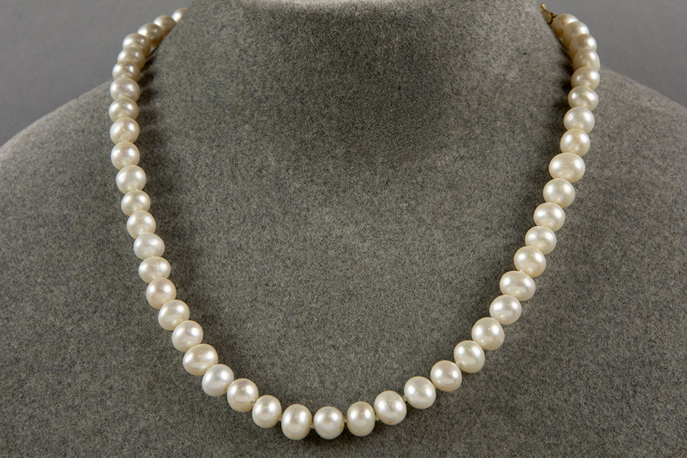 Lot 837