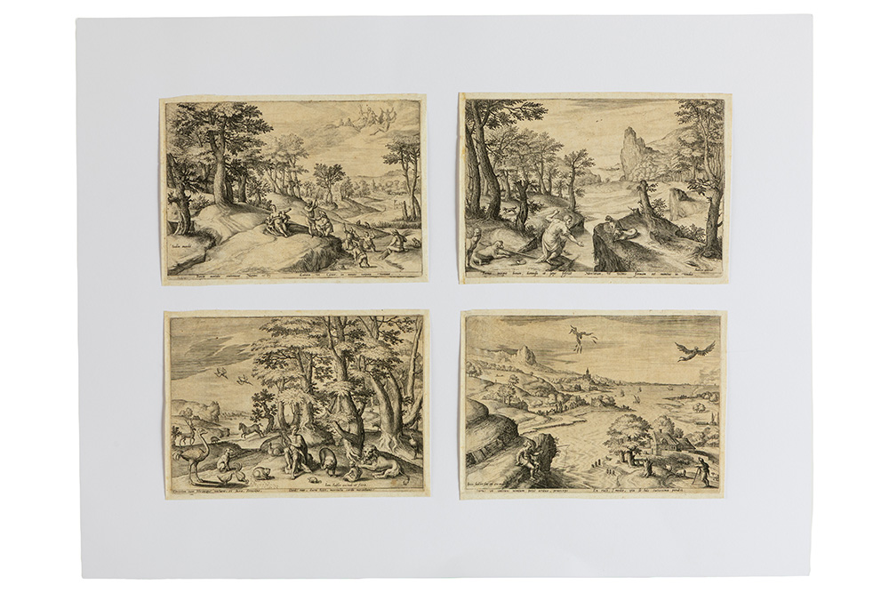Lot 223b