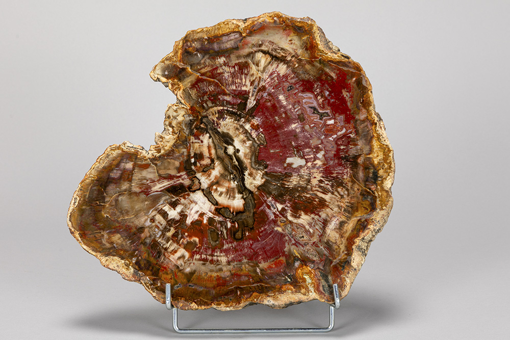 Lot 275