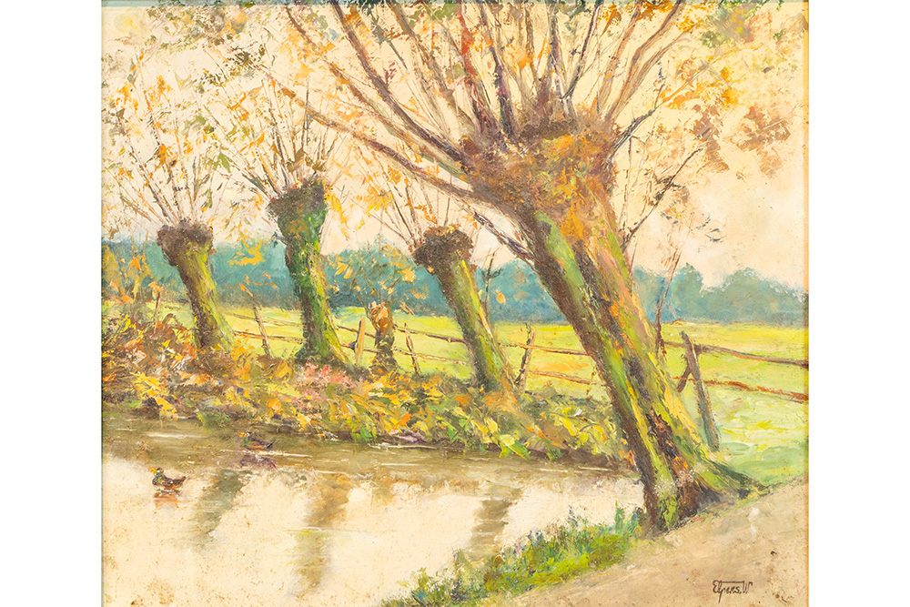 Lot 537