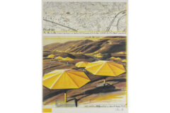 Lot 810