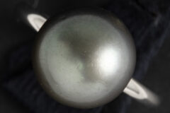Lot 865