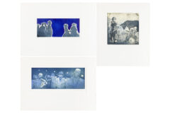 Lot 896