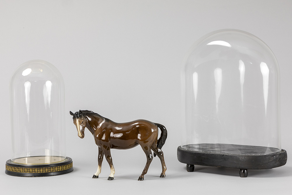 Lot 538b