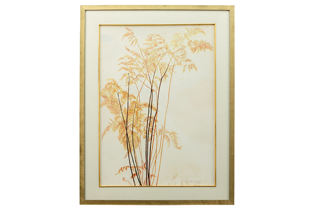Lot 636