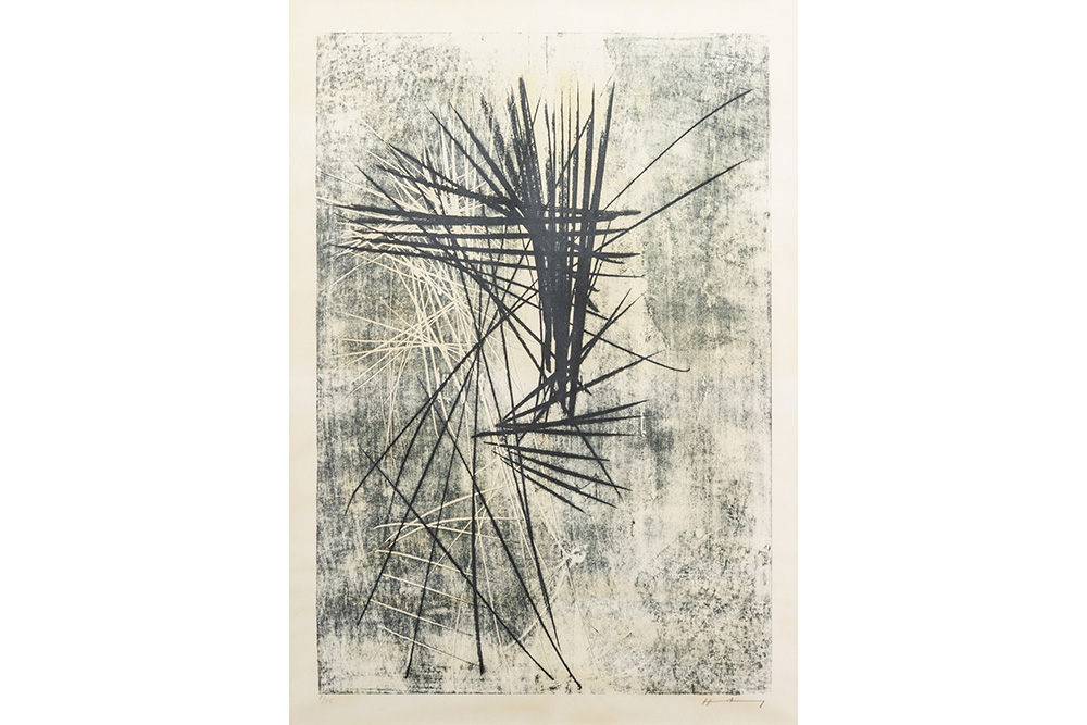 Lot 703