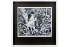 Lot 786