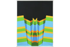 Lot 558
