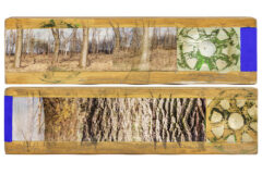 Lot 573