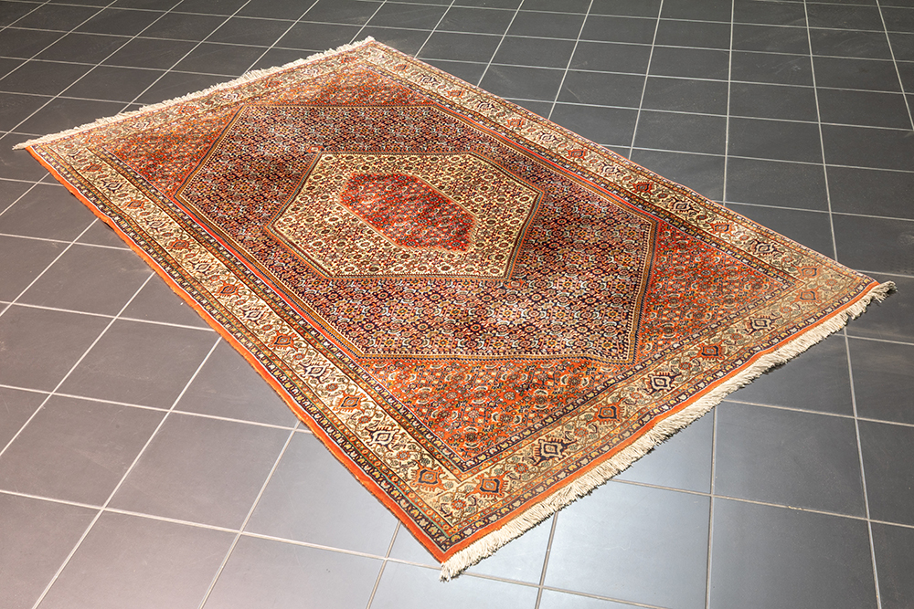 Lot 205