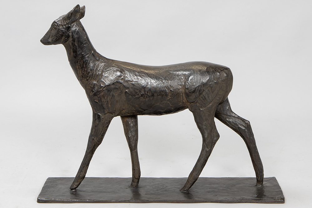 Lot 55