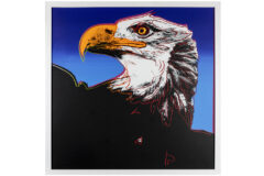 Lot 648
